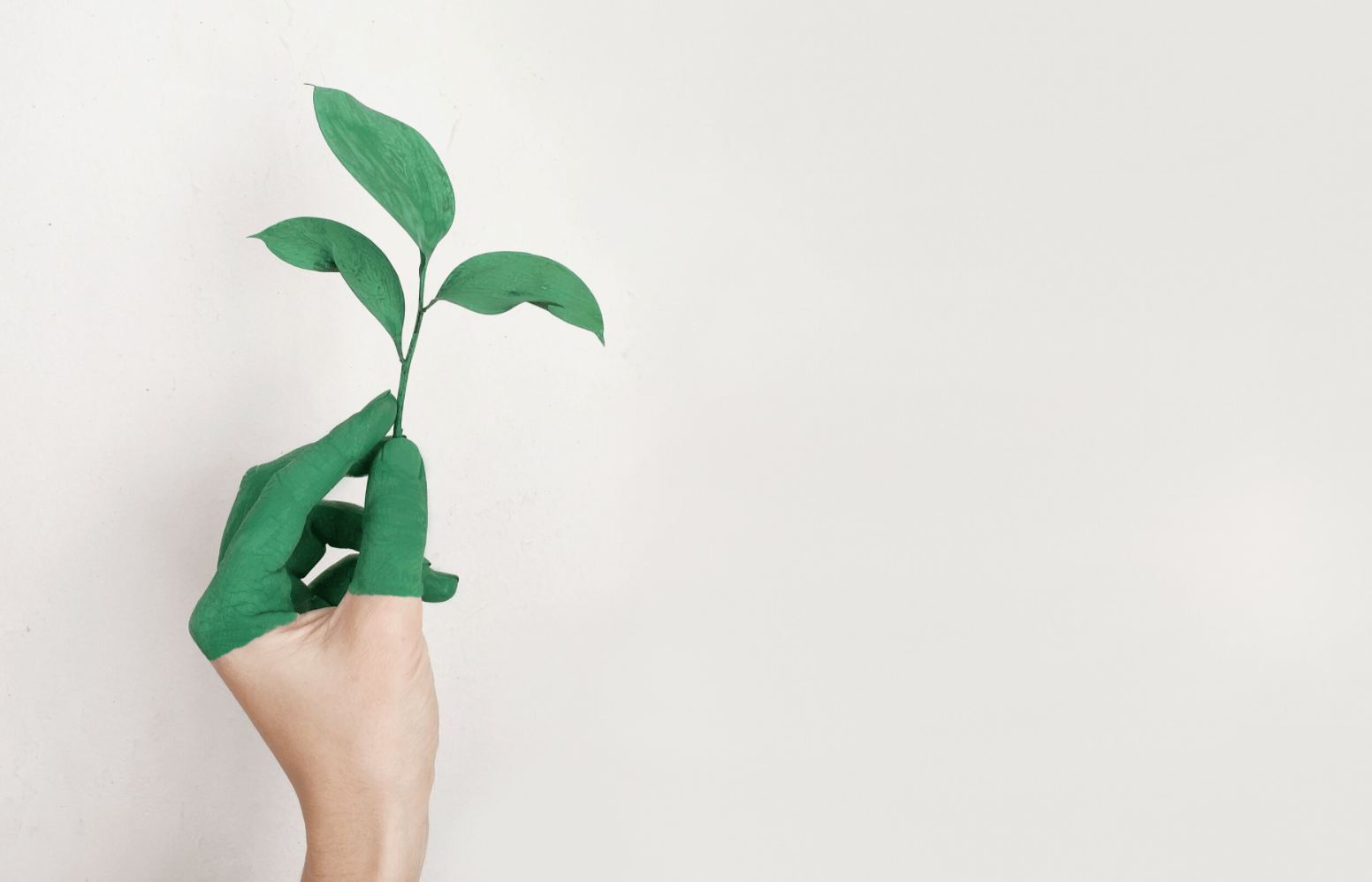 Tips for a Green and Eco-Friendly Move