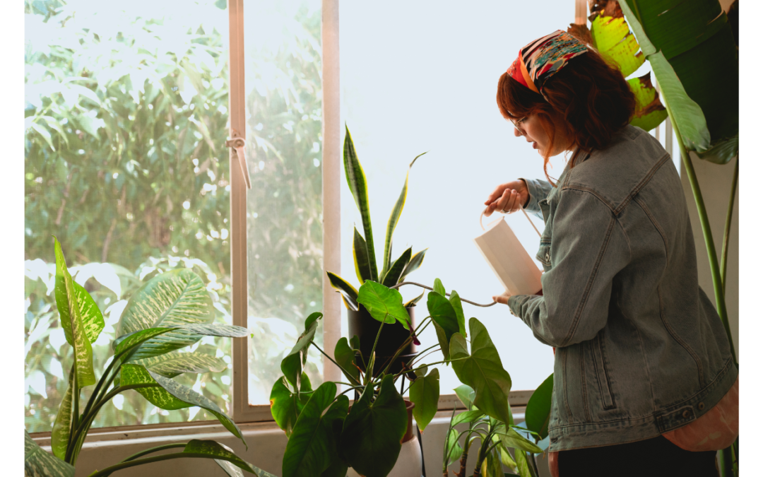 Indoor Plants: Interior Designer’s Guide of Greenery at Home
